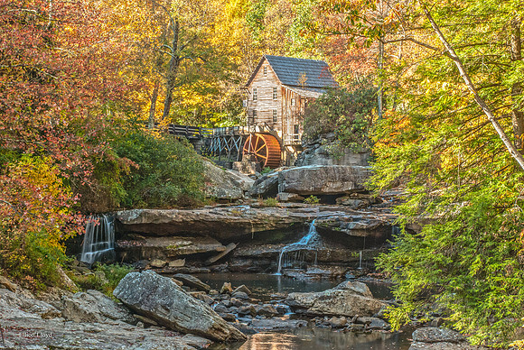 DSC_0117-102