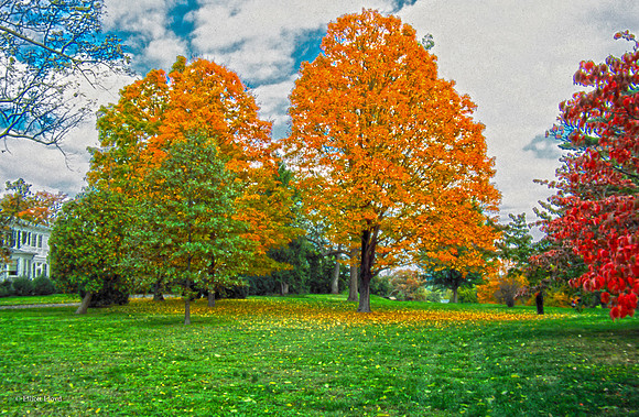 Fall Color Hor