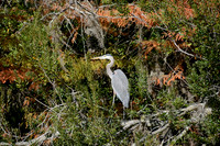 _DSC6046
