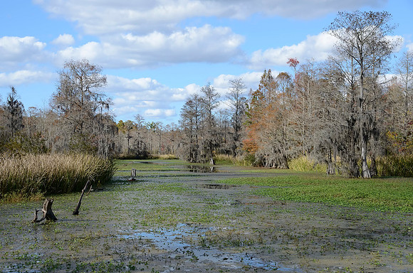 _DSC6076