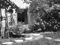 DSC_3060BW