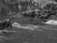 DSC_3018BW
