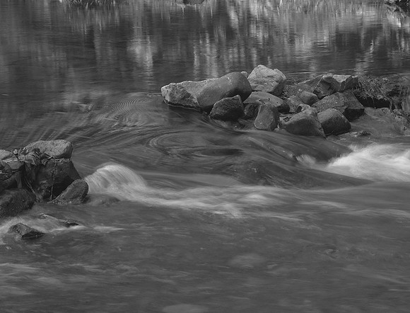 DSC_3018BW