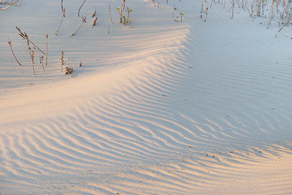 DSC_0207.jpg