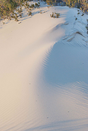 DSC_0202.jpg