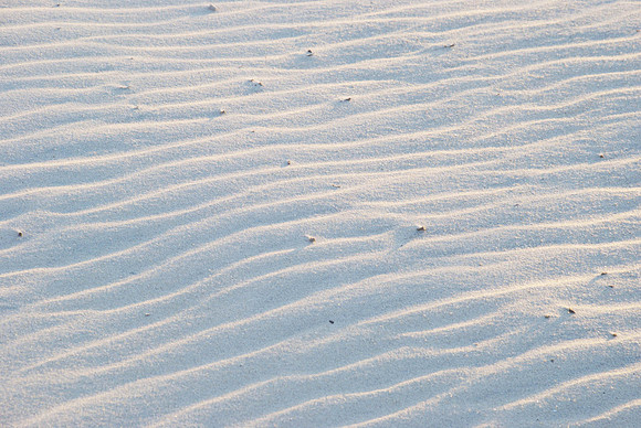 DSC_0194.jpg