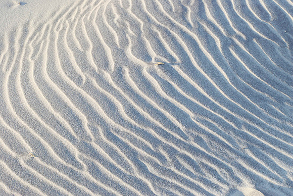 DSC_0350.jpg