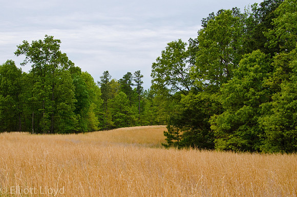 _DSC7575
