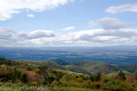 _DSC9268