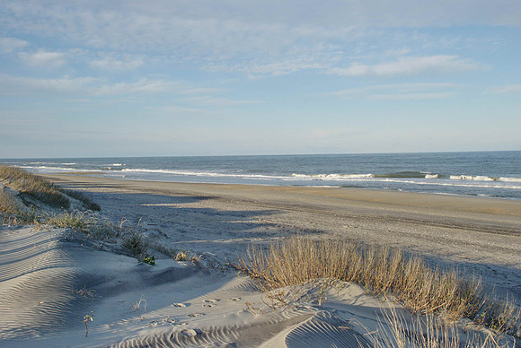 DSC_0348.jpg