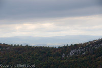 _DSC9206