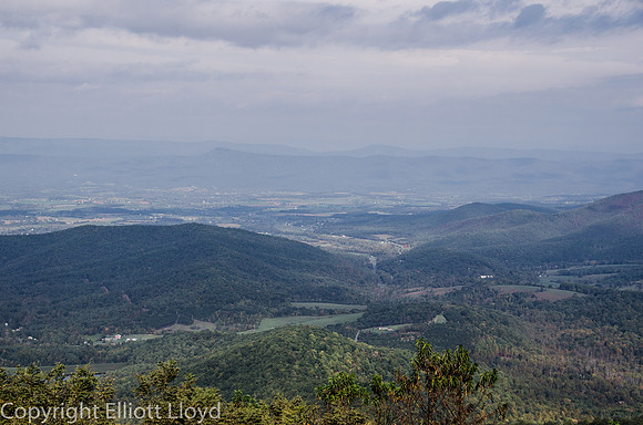 _DSC9126