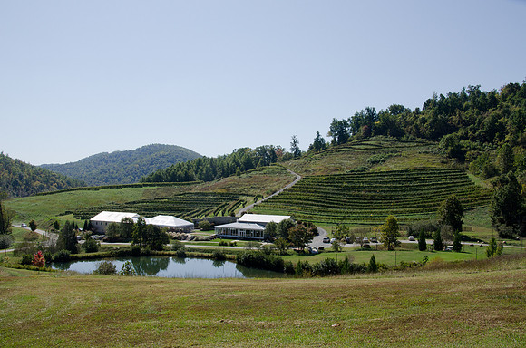 _DSC5248-1